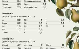 Груша для пожилых — польза и риски