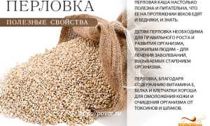 Химический состав перловки — польза и свойства