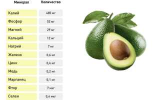 Авокадо — источник железа для здоровья