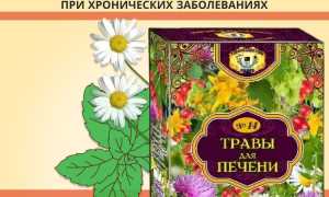 Травы для очищения печени — польза и выбор