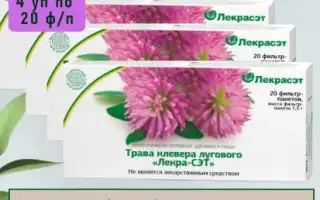 Клевер луговой — секреты народной медицины