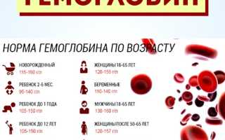 Свекла и ее влияние на уровень гемоглобина в крови