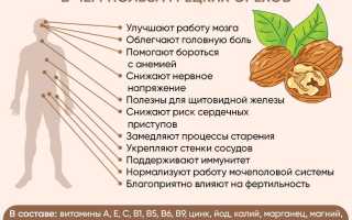Полезные свойства грецкого ореха