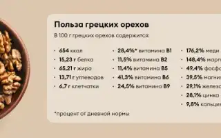 Польза грецких орехов для здоровья
