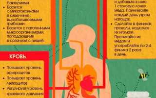 Можно ли есть мед натощак — польза и риски