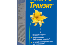 Как разогнать лимфу народными средствами