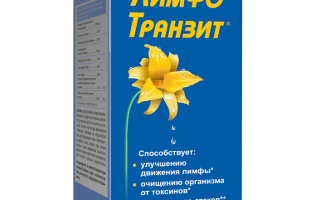 Как разогнать лимфу народными средствами