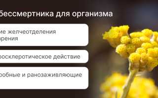 Полезные свойства бессмертника для здоровья