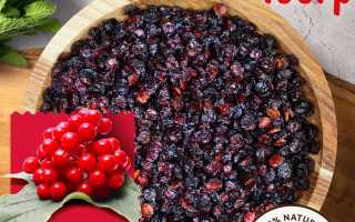 Калина — натуральный помощник в снижении давления