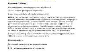 Лечебные свойства красного клевера