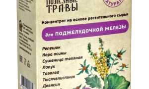 Травы для поддержания здоровья поджелудочной