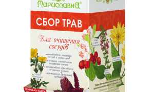 Травы для очистки сосудов — эффективные помощники
