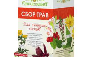 Травы для очистки сосудов — эффективные помощники