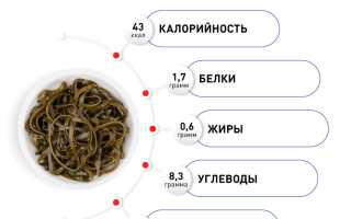 Польза морской капусты — богатство витаминами