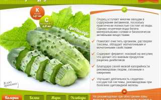 Химический состав свежего огурца
