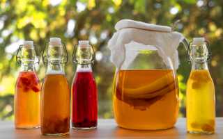 Чайный гриб — секреты здоровья и долголетия