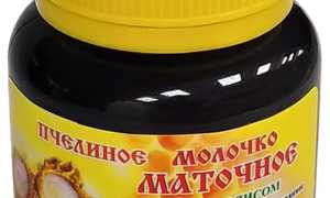 Вкус и польза настойки на пчелином молочке