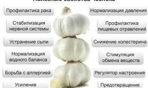 Чеснок и диабет 2 — польза и риски