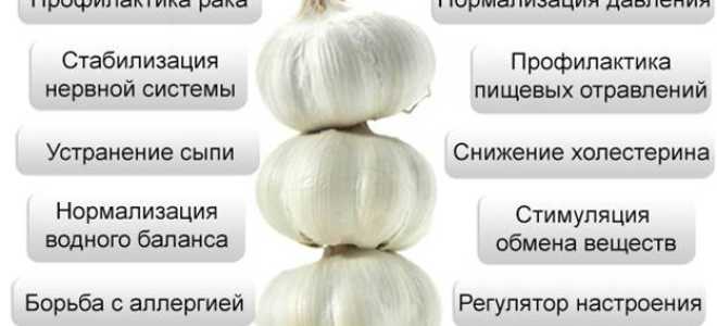 Чеснок и диабет 2 — польза и риски