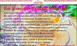 Правильный способ заваривания Иванова чая