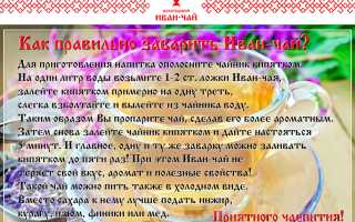 Правильный способ заваривания Иванова чая