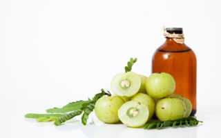 Амла — польза и применение в повседневной жизни