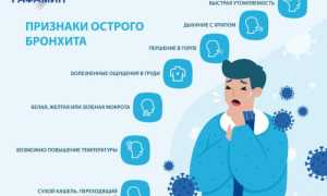 Симптомы и лечение бронхита у взрослых
