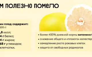 Витамины в памеле — польза для здоровья