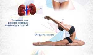 Вода с медом — секреты здоровья и энергии
