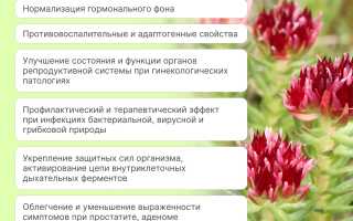 Красная щетка — секреты эффективности