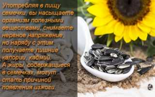 Семена подсолнечника — польза и ценные свойства