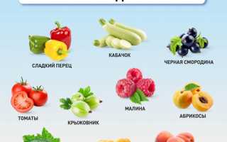 Какие продукты есть летом? -Топ10 продуктов богатых витаминами и антиоксидантами