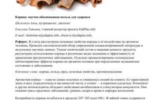 Корица — противопоказания и возможные побочные эффекты