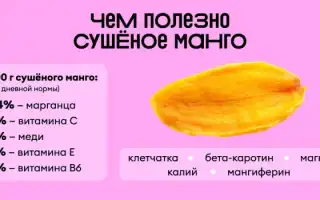 Сушеное манго при похудении — польза или вред?