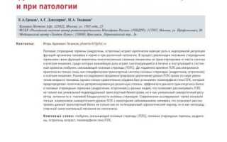 Секс и глобулин — как взаимосвязаны?
