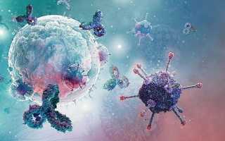 Пониженные моноциты у женщин после 50 — причины и последствия