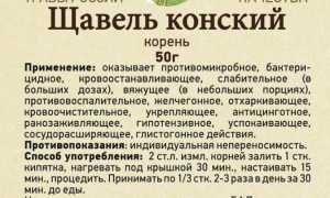 Полезные свойства конского щавеля