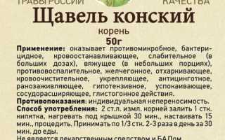 Полезные свойства конского щавеля