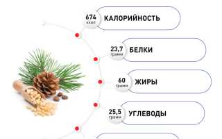 Полезные свойства кедровых орешков — витамины и микроэлементы