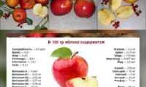Яблочная диета — 3 дня для легкого очищения