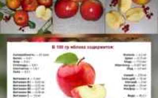 Яблочная диета — 3 дня для легкого очищения