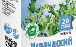 Исландский мох — Лечебные свойства, цена, отзывы и противопоказания