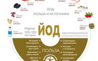 Содержание железа в 100 граммах морской капусты