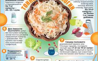 Содержание железа в капусте — польза и количество