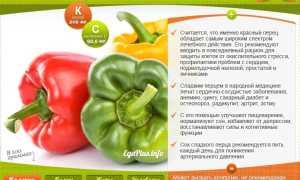 Семена болгарского перца — польза и вред для здоровья