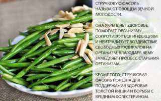 Фасоль стручковая — польза и вред для здоровья
