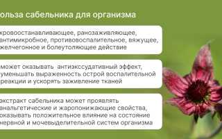 Польза сабельника — от чего помогает эта трава