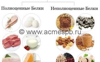 Белковая диета — что нужно знать