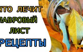 Настой лаврового листа — что лечит и как применять