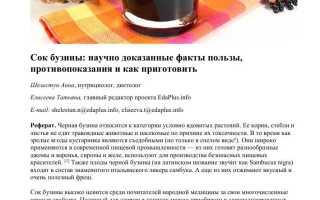 Бузина — Польза и Опасность для Здоровья